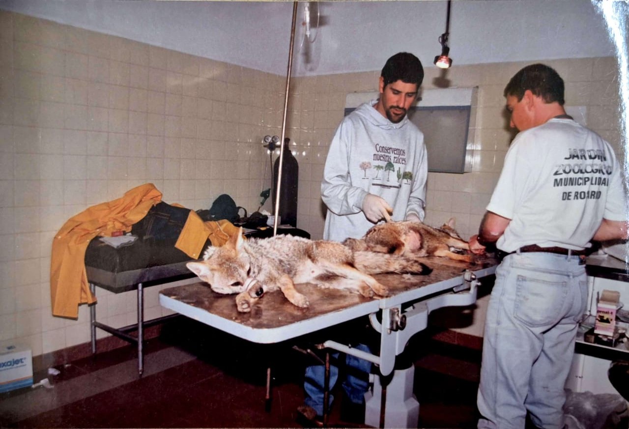 Estudio clínico coordinado